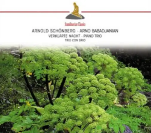 Arnold Schoenbe Arnold Schoenberg/Arno Baradjanian: Verklarte Nacht/Piano T (CD)