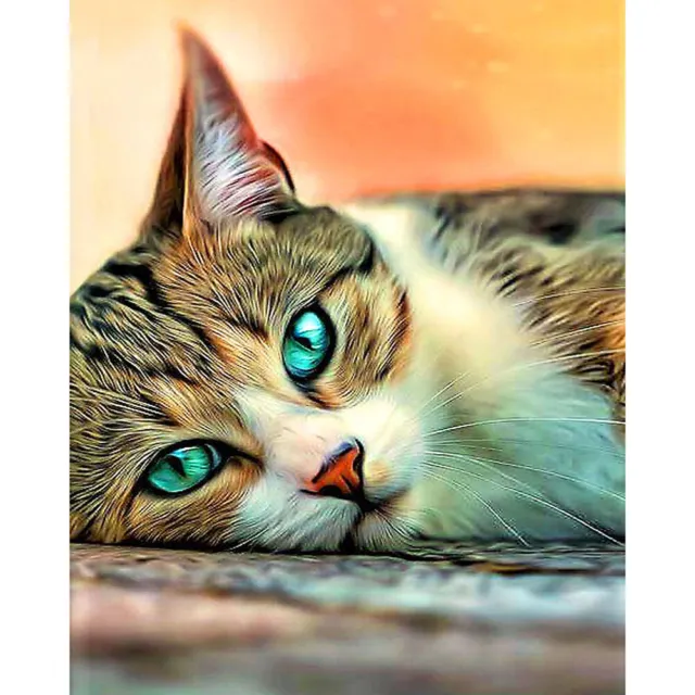 40x50cm Colorful DIY Paint By Numbers Kit Green Eyed Cat Animals Decor Gift Art