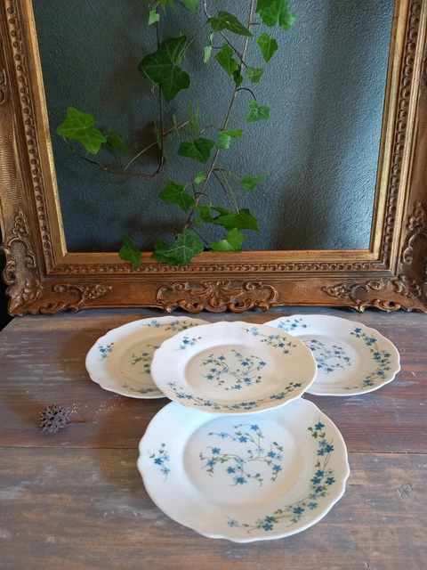 Lot De 6 Assiettes à Dessert Arcopal – Modèle Myosotis Veronica – État Correct