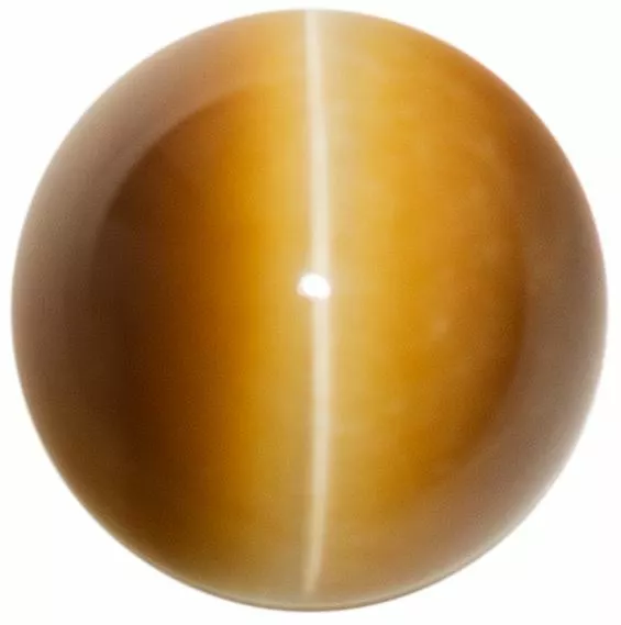 Natural Extra Fine Golden Honey Cat's Eye - Round Cabochon - South Africa - AAA+