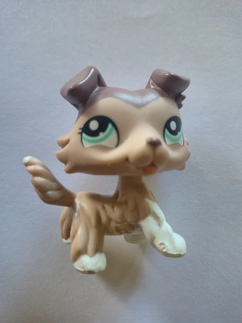 figurine PETSHOP original chien dog colley 363 collie pet