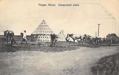 Cpa Maroc Tanger Campement Arabe