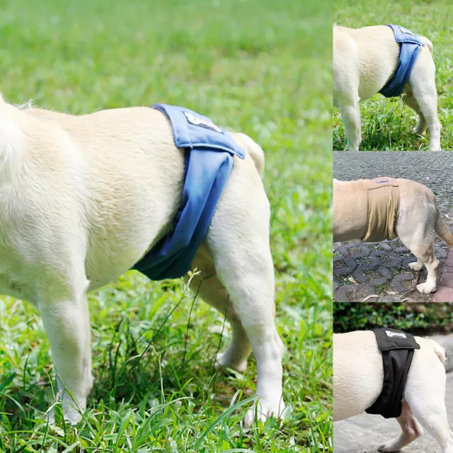 Hundewindel Rüdenbinde Waschbare Schutzhose Hygienehose für Rüden Windel Wraps