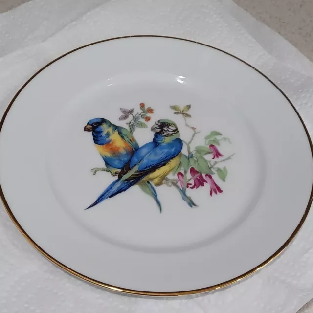 Parrot Motif Jkw Western Germany Fine Porcelain Gold Trimmed Plate Salad Display