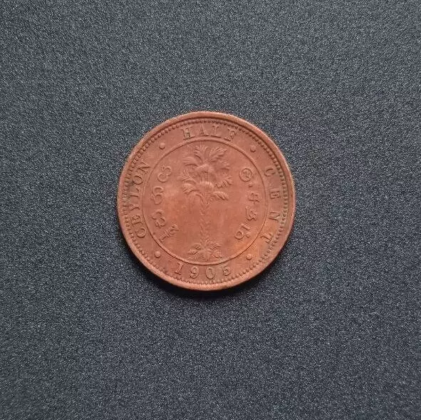 1905 British Ceylon Sri lanka Half 1/2 Cent  Copper KM#101 Edward VII Palm Coin