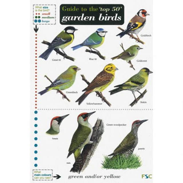 GUIDE TO THE Top 50 Garden Birds (Field Studies Council Occasional ...