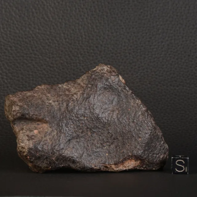 Meteorite Singola 255,96 G Nwa Condrite Non Classificati Africa D60.3-9 3