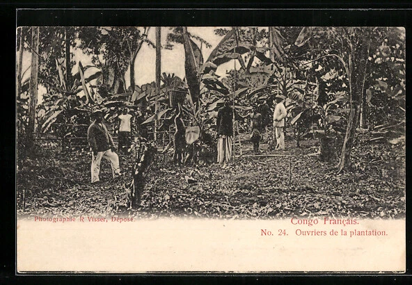 CPA Congo Francais, Ouvriers de la plantation