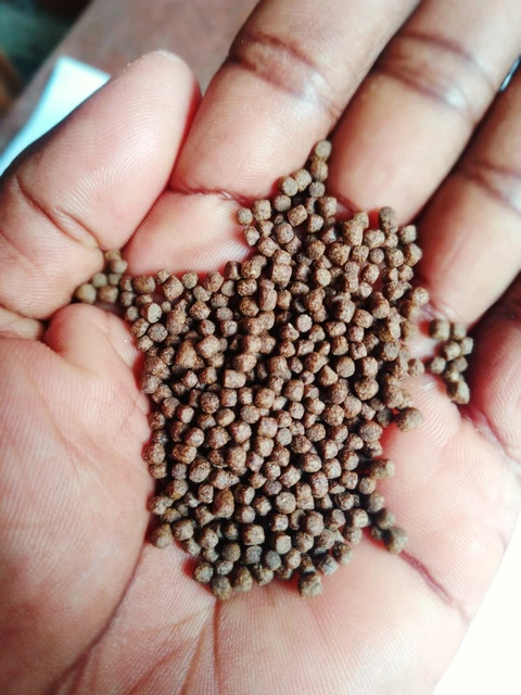 high protein fish food