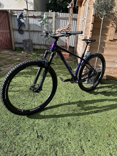 Alex exr30 2025 29er