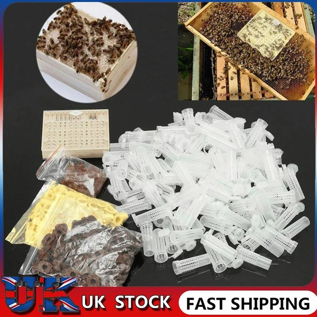Plastic Queen Rearing 120pcs Cup Kit Beekeeping Tool Bee Cell Cultivating Box ❀