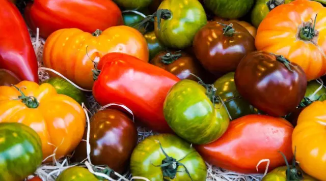 Tomato Giant Rainbow Mix 20 Seeds - Colourful and Flavourful Mixture