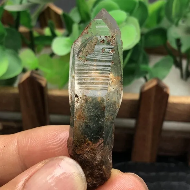Rare Natural clear Green Phantom Ghost include Garden Quartz gem tip crystal 18g