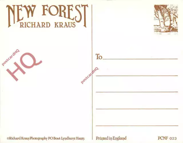 Picture Postcard>>New Forest, Richard Kraus, Horse 2