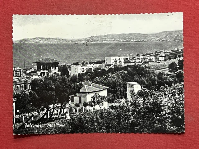 Cartolina - Falconara Marittima ( Ancona ) - Panorama - 1957