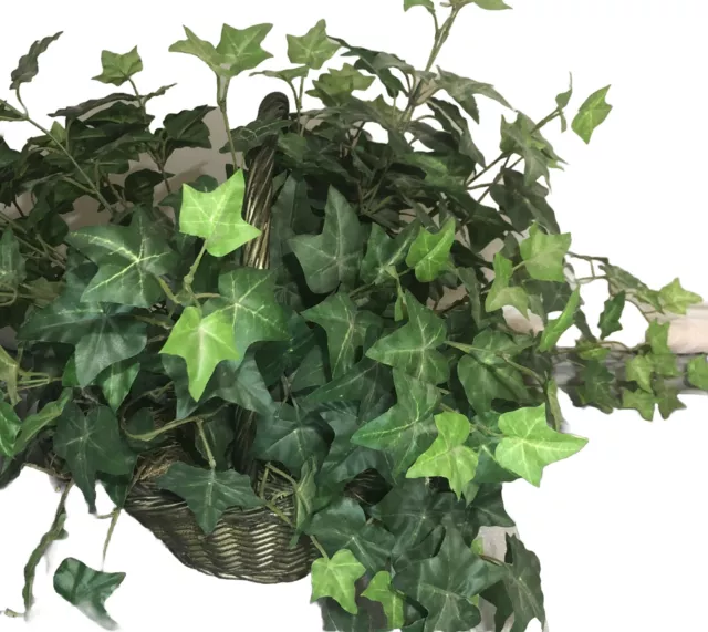 Planta de interior decorativa realista de hiedra verde en cesta de mimbre