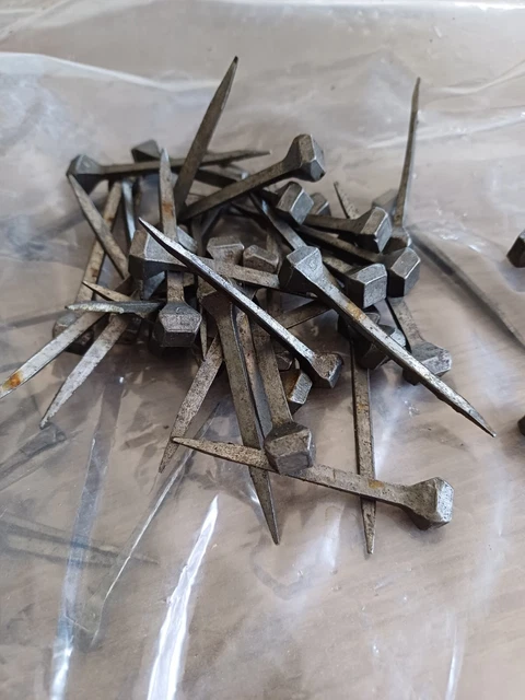 KIMISS Clous De Sabot Lot De 250 Clous En Fer à Cheval En Cuivre Avec Boîte En Plastique Pour