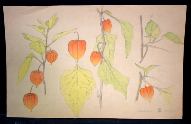 ANCIEN TABLEAU AQUARELLE paysage fauvisme allée arbres perspectives à