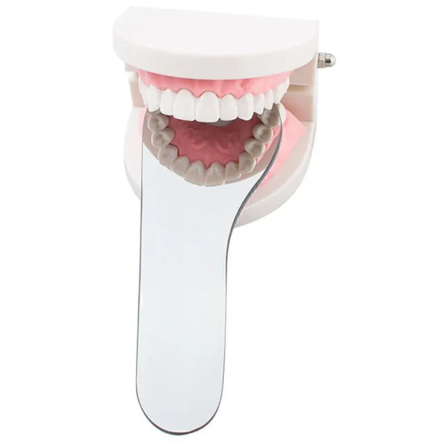 Dental Intraoral Photographic Mirror Glass 2sided Occlusal Rhodium