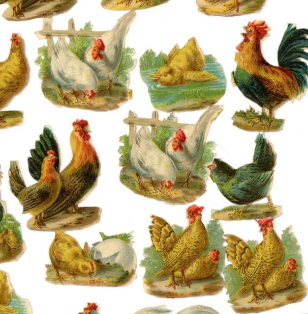 Antique Victorian Die Cut Scrap collection 19 birds chicken rooster 1880s #7