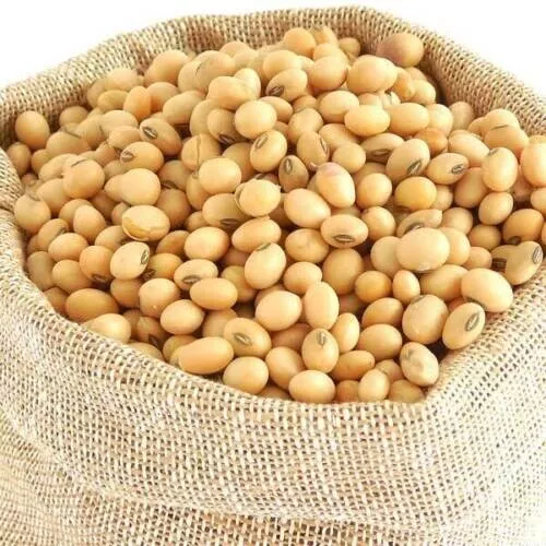 Bulk 10Kg Dried Soya Beans -  Soy Beans -  For Tofu - Soy Milk