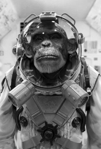 Vintage Space Monkey Photo 100b Odd Strange & Bizarre