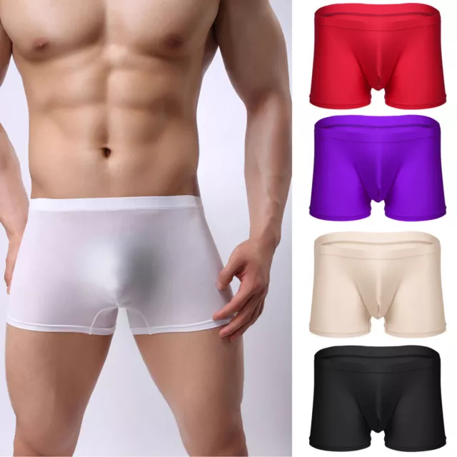 Men's Sexy Briefs Underwear Ice Silk Transparent Striped T-back Tongs  Underpant