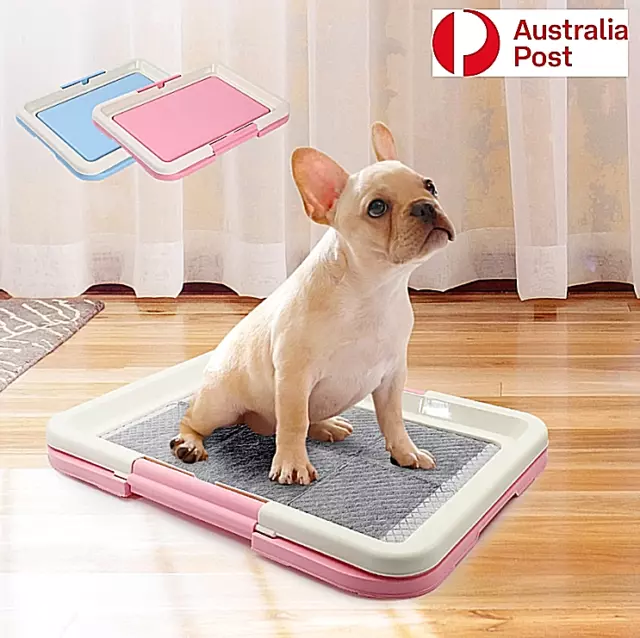 Pet Puppy Dog Training Pad Tray Indoor Cat Potty Pad Pee Loo Toilet 47cm*34cm AU