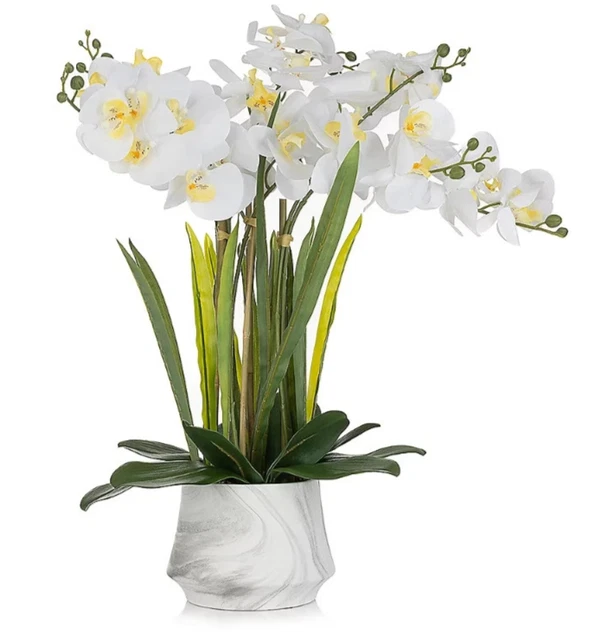 ABELLA FLORA KÜNSTLICHE Orchidee Realtouch-Blüten Topf auswechselbarOb EUR 18,90