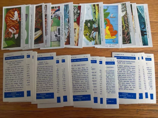 Lyons tea trade cards: What Do You Know? complete full set loose
