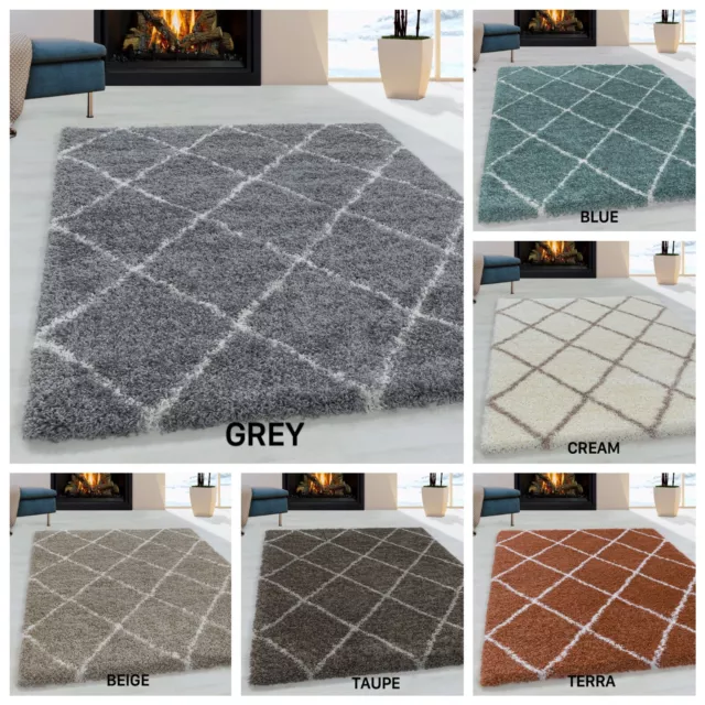 Alvor Doux Moelleux Tapis Shaggy Petit Grand Tapis Salle à Manger Chambre Tapis