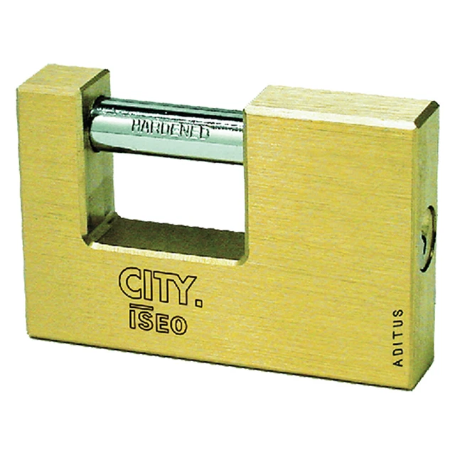 2920559 LUCCHETTO ANTISCASSO mm 60 - pz. 1