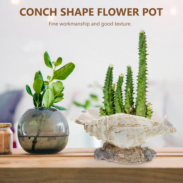 1pc Conch Blumentopf Conch Sukkulenten Topf Conch Shell Figurine 9