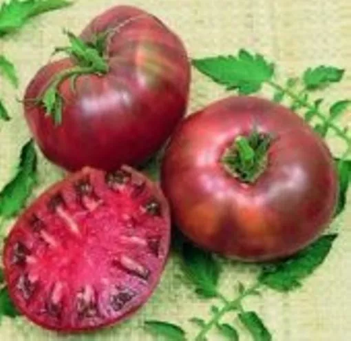 TOMATO 'Cherokee Purple' 30+ seeds UNUSUAL HEIRLOOM non gmo vegetable garden