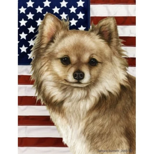 Patriotic (D2) Garden Flag - Longhaired Chihuahua 321451