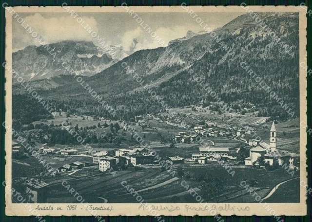 Trento Andalo Veduta Generale FG cartolina RB5751