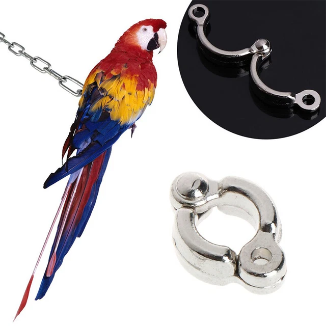 2Set Parrot Leg Ring Bird Flying Rope Outdoor Supplies Foot Buckleird Anti-losEN