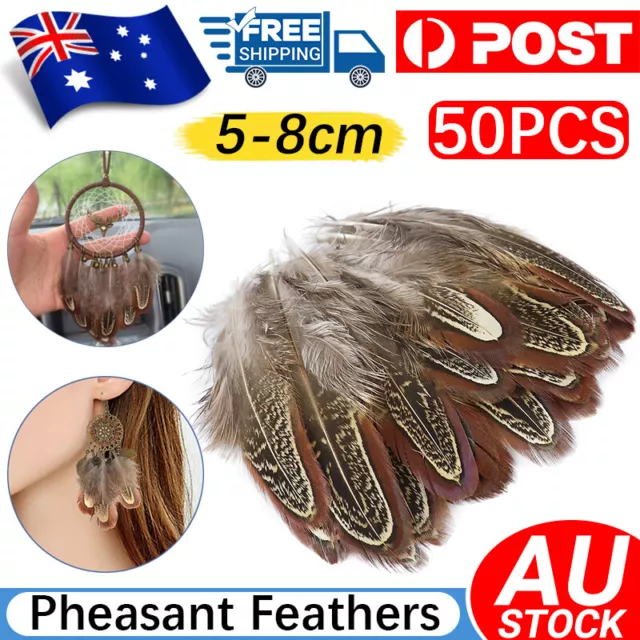 50PCS Natural Pheasant Feathers DIY Crafts Headdress