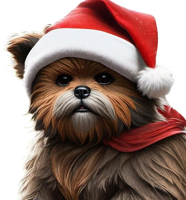 Christmas Decoration Ewok In Xmas Hat Fan Art