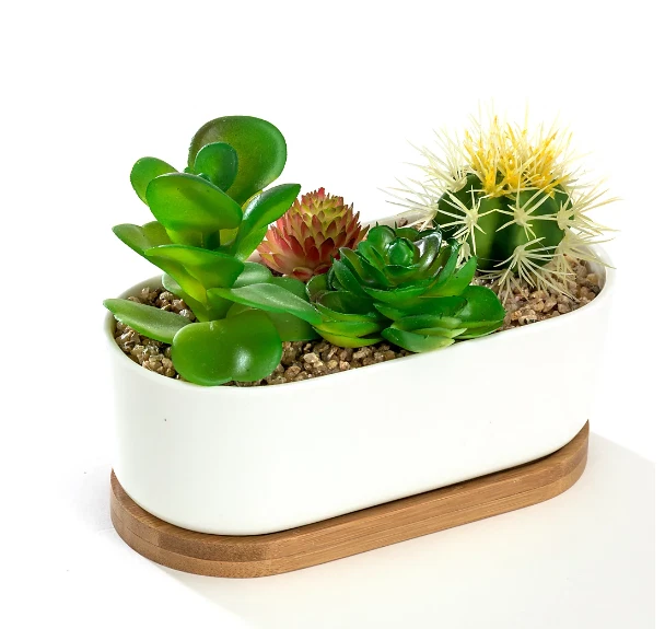 Oval 6.8" Ceramic Succulent Planter Pot with Bamboo Saucer, Window Plant Contain
