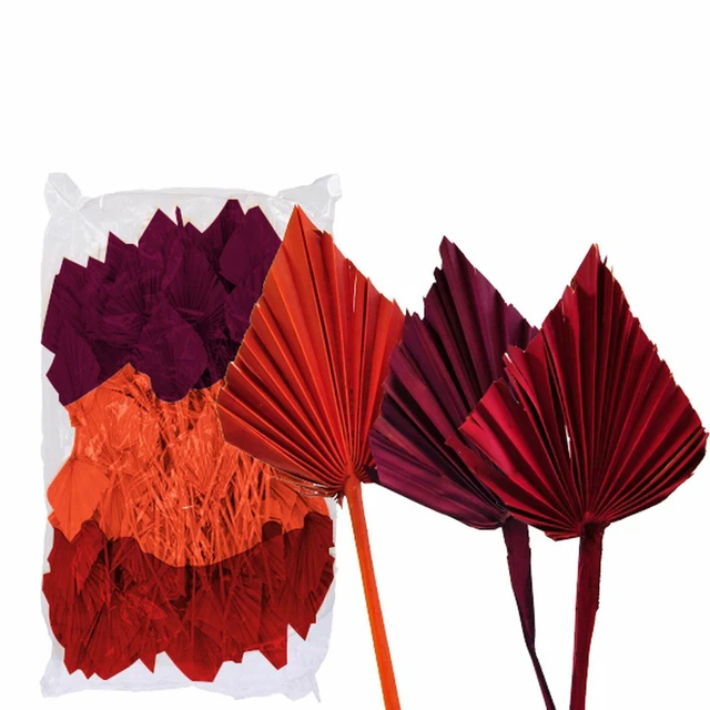 Palmspear ind. gran mezcla - bolsa de 100 ud. - mezcla de colores