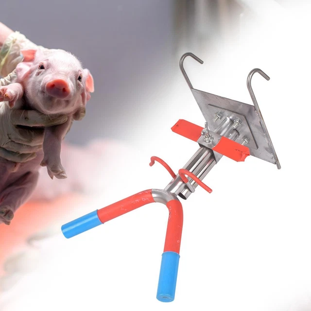 Lastration Rack PORTABLE PIG CASTRATION Rack Livestock Castration Instrument Double ...