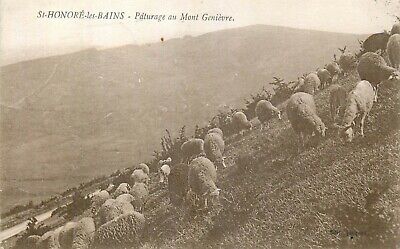 58 St-Honore-Les-Bains Paturage Au Mont Genievre - Moutons