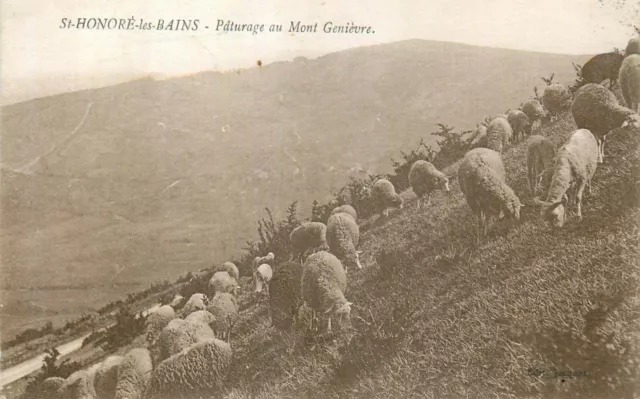 58 St-Honore-Les-Bains Paturage Au Mont Genievre - Sheep