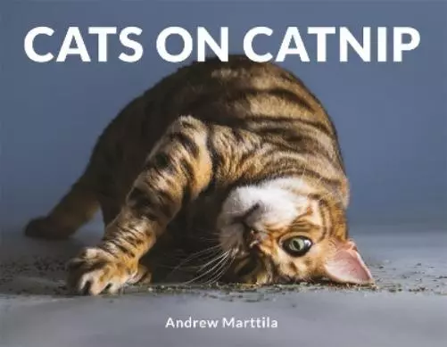 Andrew Marttila Cats on Catnip (Relié)