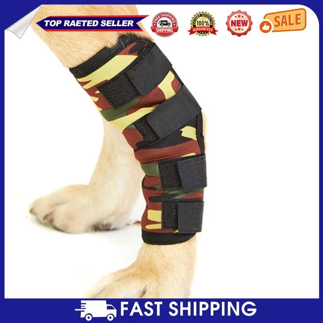 Chew proof dog best sale bandage