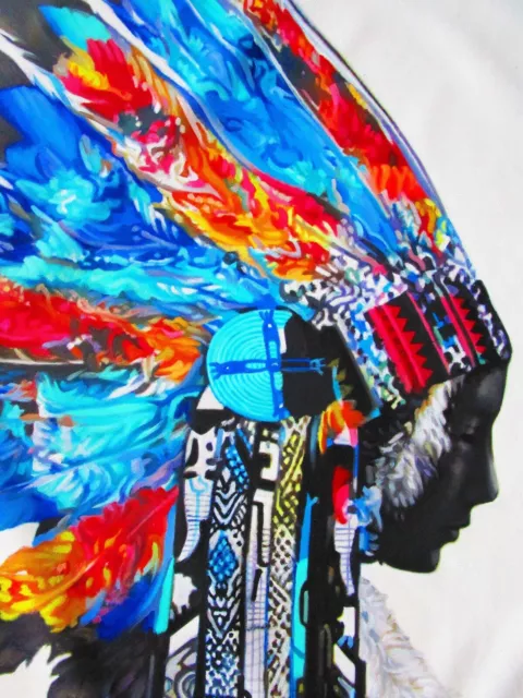 art painting street Print indian Blue Feather Native american Poster Wall Decor 2