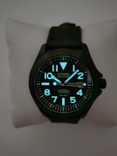 CITIZEN TITANIUM ECO DRIVE Royal Marines Commando Watch E168