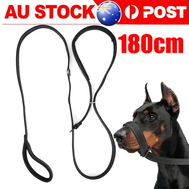 Slip Lead Dog Leash Rope Training Leads with Soft Strong Padded Handle 1.8m