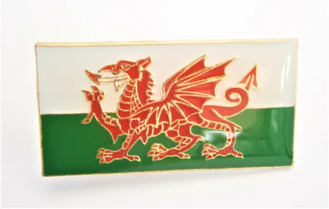 E896) Wales Welsh Red Dragon Flag souvenir enamel lapel badge pin
